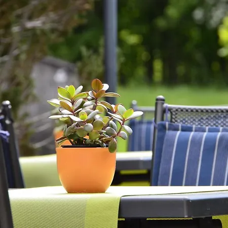 Hotel Gasthof Am Forsthof 3*