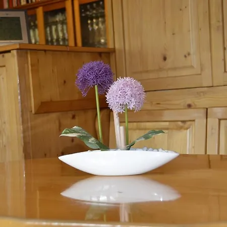 酒店 嘎斯霍夫福斯索夫酒店