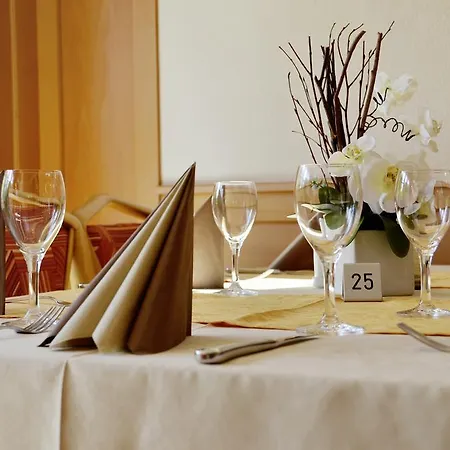 嘎斯霍夫福斯索夫酒店 3*