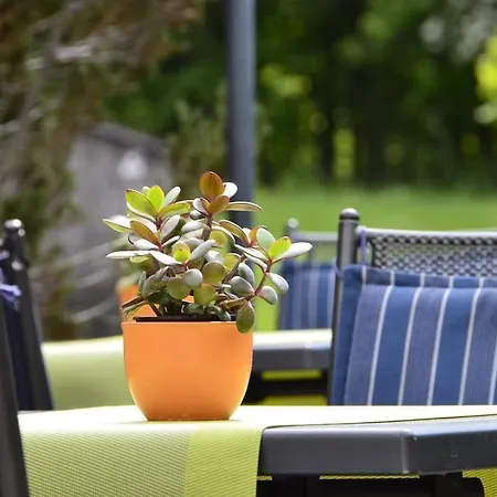 嘎斯霍夫福斯索夫酒店 Edelsfeld